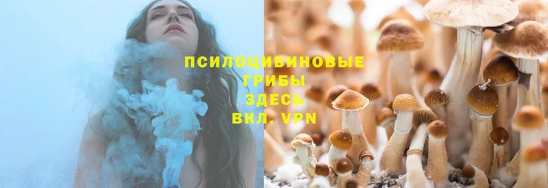 Галлюциногенные грибы Magic Shrooms  Калязин 